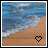 Flowers icon graphics