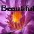 Flowers icon graphics