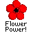 Flowers icon graphics