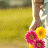 Flowers icon graphics