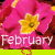 Flowers icon graphics