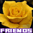 Flowers icon graphics