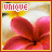 Flowers icon graphics