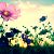 Flowers icon graphics