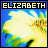 Flowers icon graphics