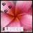 Flowers icon graphics