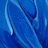 Flowers icon graphics
