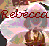 Flowers icon graphics