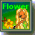 Flowers icon graphics