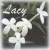 Flowers icon graphics