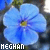 Flowers icon graphics