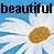 Flowers icon graphics