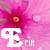Flowers icon graphics