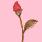 Flowers icon graphics