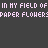 Flowers icon graphics