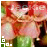 Flowers icon graphics