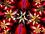 Flowers icon graphics