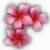 Flowers icon graphics