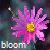 Flowers icon graphics