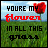 Flowers icon graphics