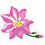 Flowers icon graphics