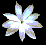 Flowers icon graphics