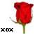 Flowers icon graphics