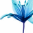 Flowers icon graphics