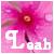 Flowers icon graphics