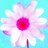 Flowers icon graphics