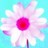 Flowers icon graphics