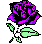 Flowers icon graphics