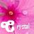 Flowers icon graphics