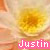 Flowers icon graphics