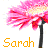 Flowers icon graphics