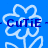 Flowers icon graphics