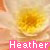 Flowers icon graphics