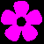 Flowers icon graphics