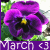 Flowers icon graphics
