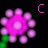 Flowers icon graphics