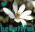 Flowers icon graphics