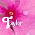 Flowers icon graphics