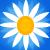 Flowers icon graphics