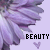 Flowers icon graphics
