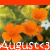 Flowers icon graphics