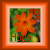Flowers icon graphics