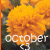 Flowers icon graphics