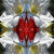 Flowers icon graphics