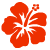 Flowers icon graphics