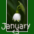 Flowers icon graphics